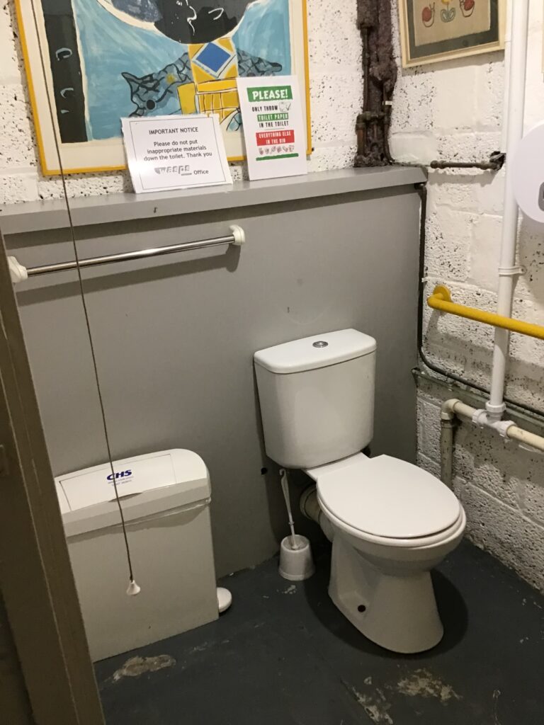 A large tilet cubicle showing the toilet