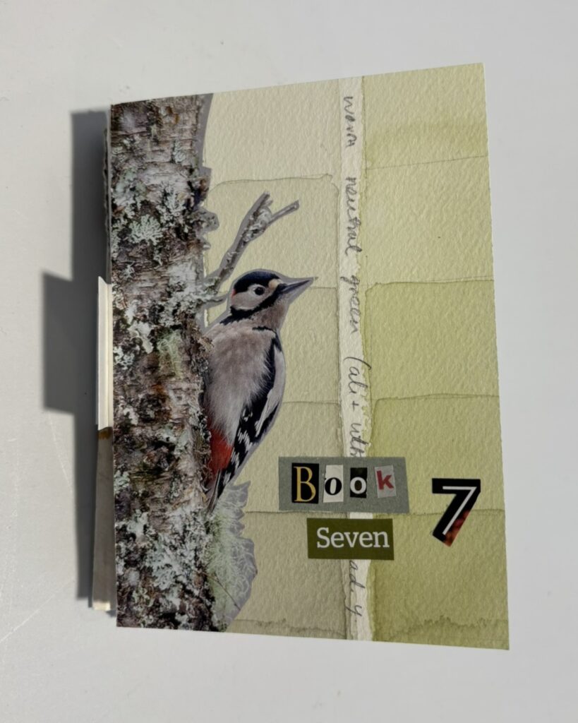 Small handmade artist’s booklet. The cover is a collage on textured pale green paper featuring a detailed image of a woodpecker clinging to tree bark. Cut-out letters spell “Book Seven,” with a separate black number “7” placed to the right. Faint handwritten words run vertically behind the collage.