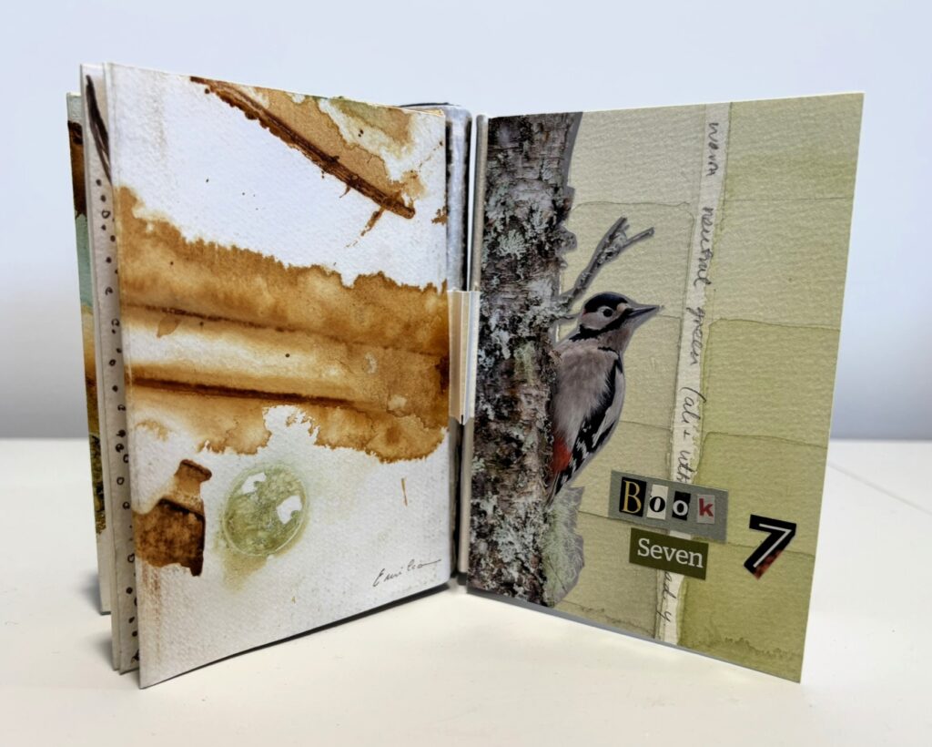 Small handmade artist’s booklet. The cover is a collage on textured pale green paper featuring a detailed image of a woodpecker clinging to tree bark. Cut-out letters spell “Book Seven,” with a separate black number “7” placed to the right. Faint handwritten words run vertically behind the collage.